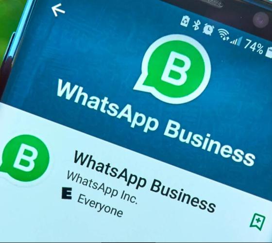 用好WhatsApp图片提升沟通效率与品牌信任的实用指南