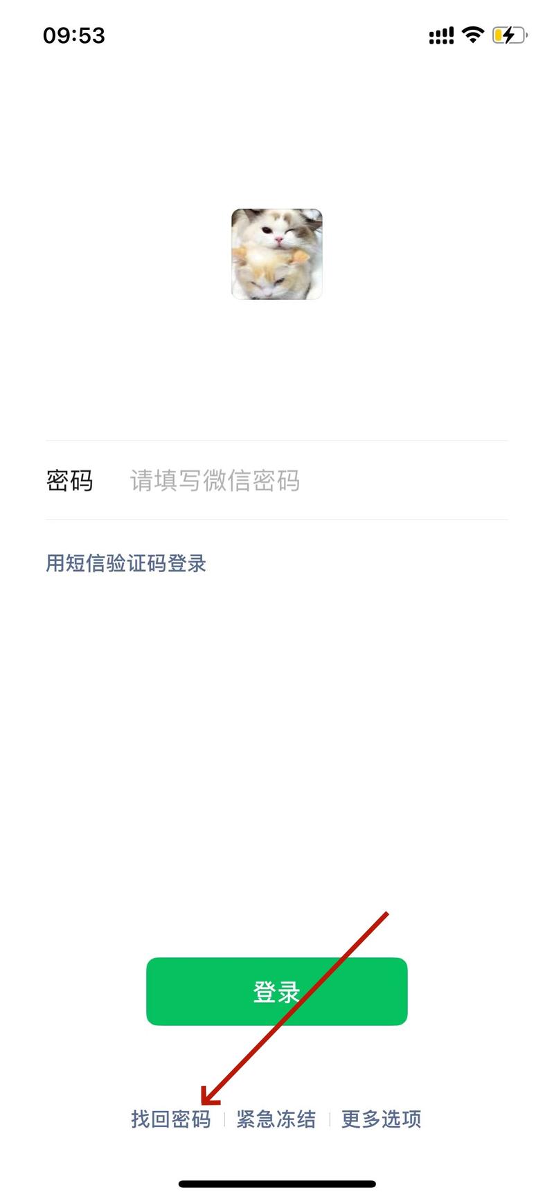 whatsapp官网手机版下载安装与安全使用完整指南