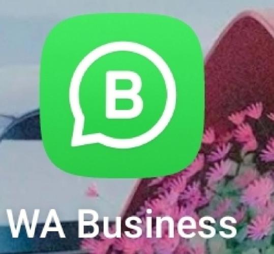 whatsapp打国际长途前需要了解的费用网络与通话质量要点
